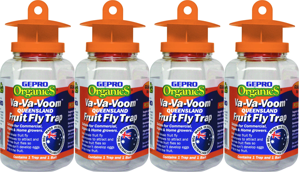 Fruit Fly Trap Direct Bargain Warehouse Australia