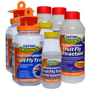 Fruit Fly Trap Kit -  2 Traps - 15 Refills - For WA Mediterranean Fruit Fly