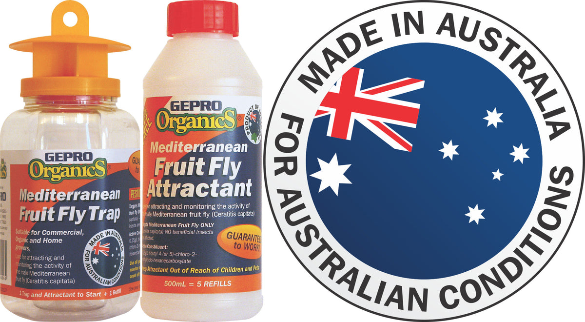 West Australian Mediterranean Fruit Fly Trap With 7 Refills Direct